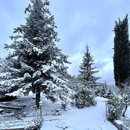 Mazzetti Country House-Vita In Campagna Con Giardino Vimignano-Chiesa Экстерьер фото
