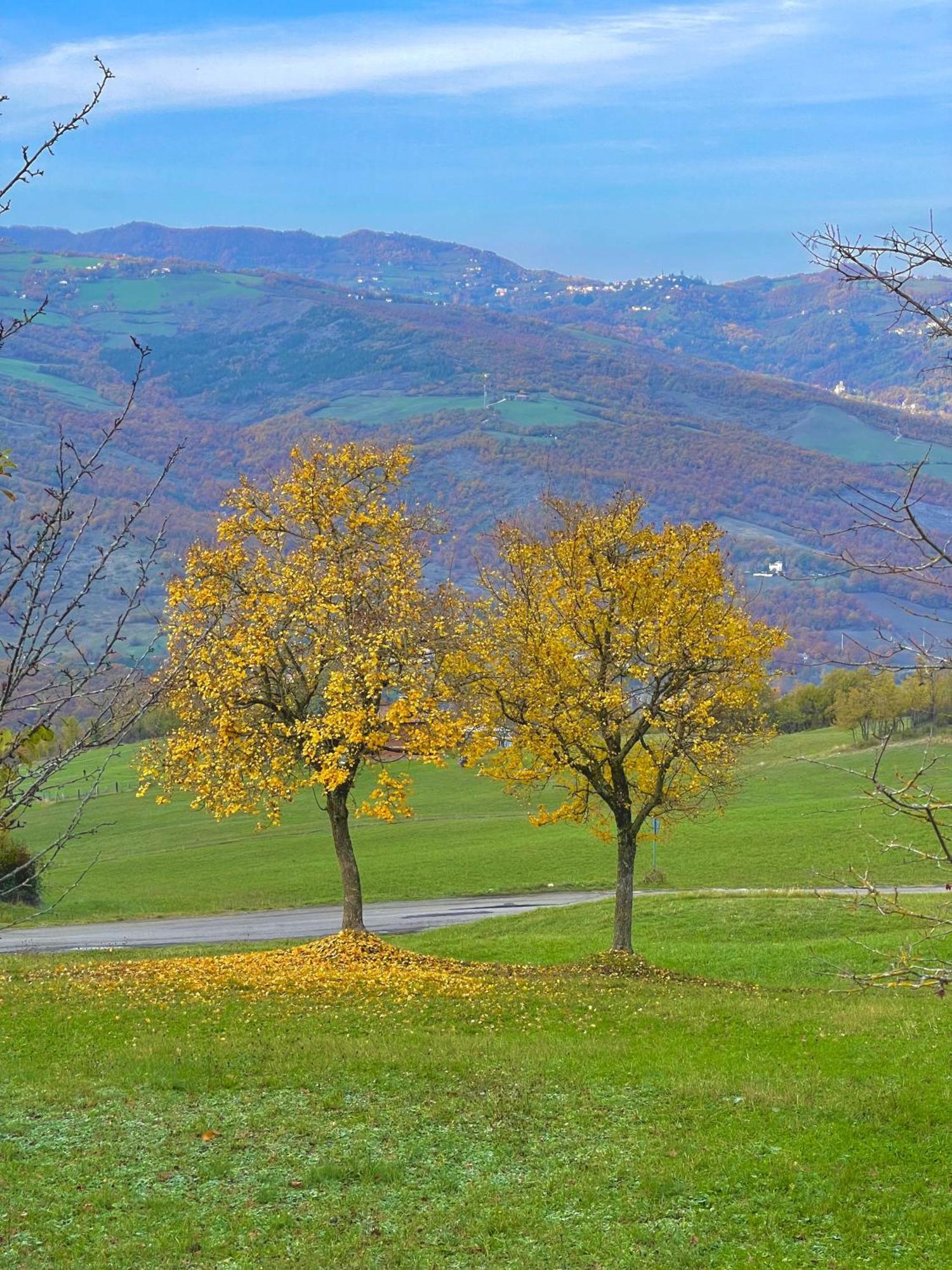 Mazzetti Country House-Vita In Campagna Con Giardino Vimignano-Chiesa Экстерьер фото