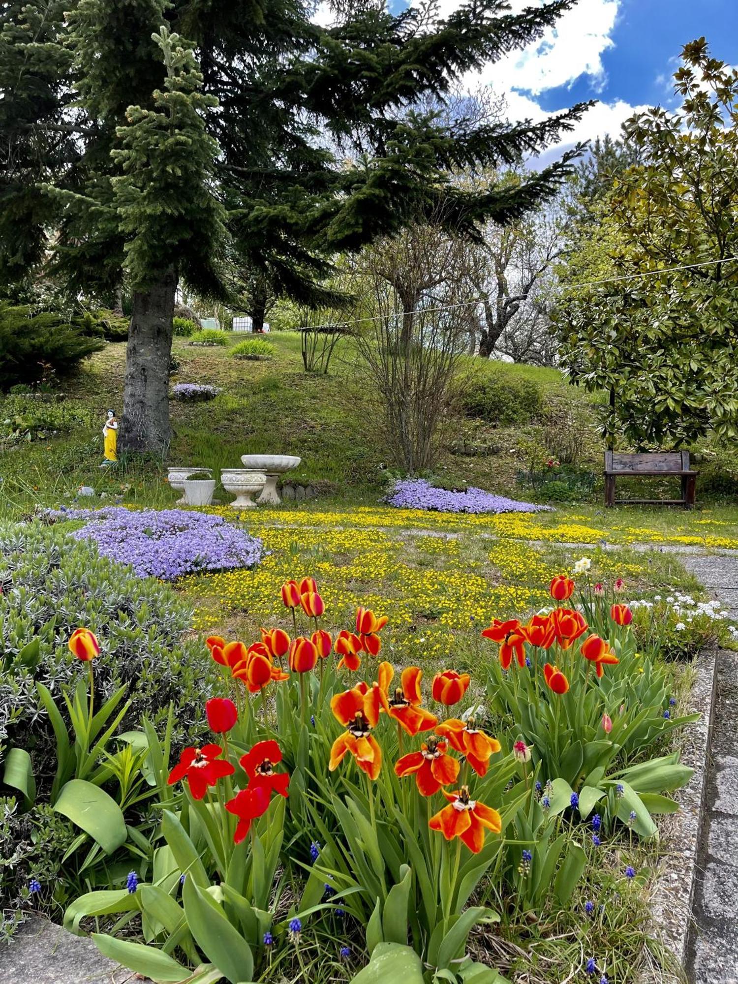 Mazzetti Country House-Vita In Campagna Con Giardino Vimignano-Chiesa Экстерьер фото