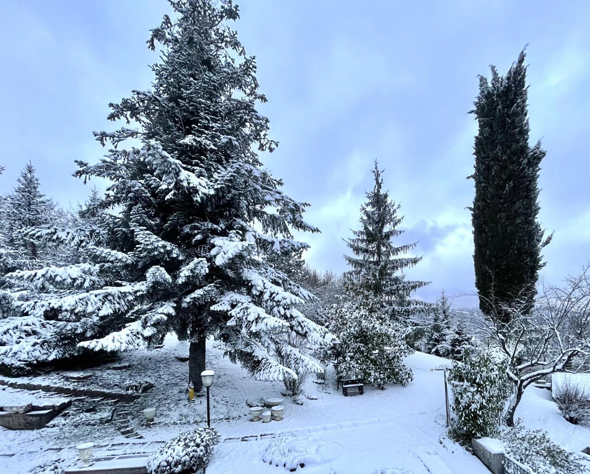 Mazzetti Country House-Vita In Campagna Con Giardino Vimignano-Chiesa Экстерьер фото