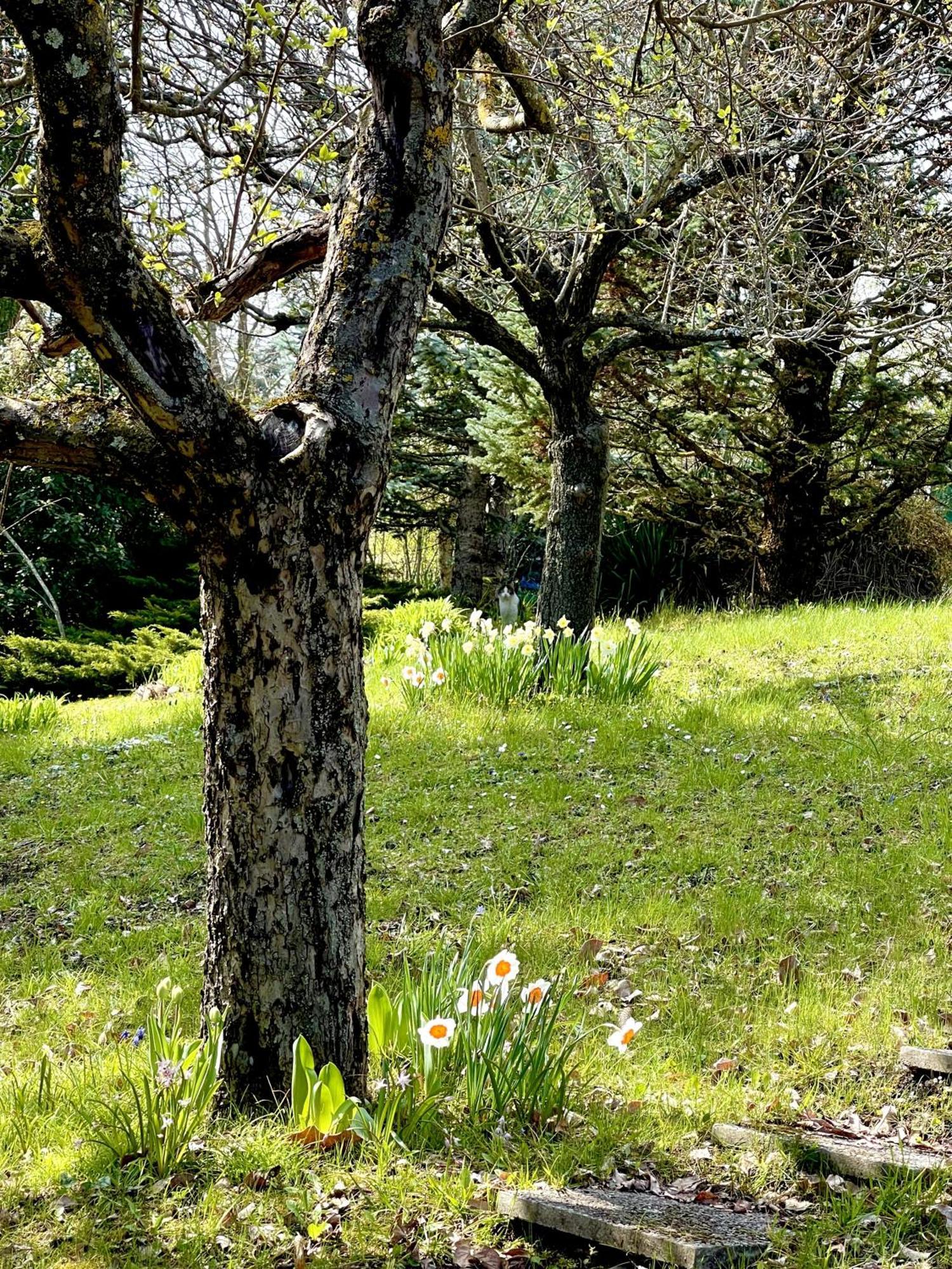 Mazzetti Country House-Vita In Campagna Con Giardino Vimignano-Chiesa Экстерьер фото