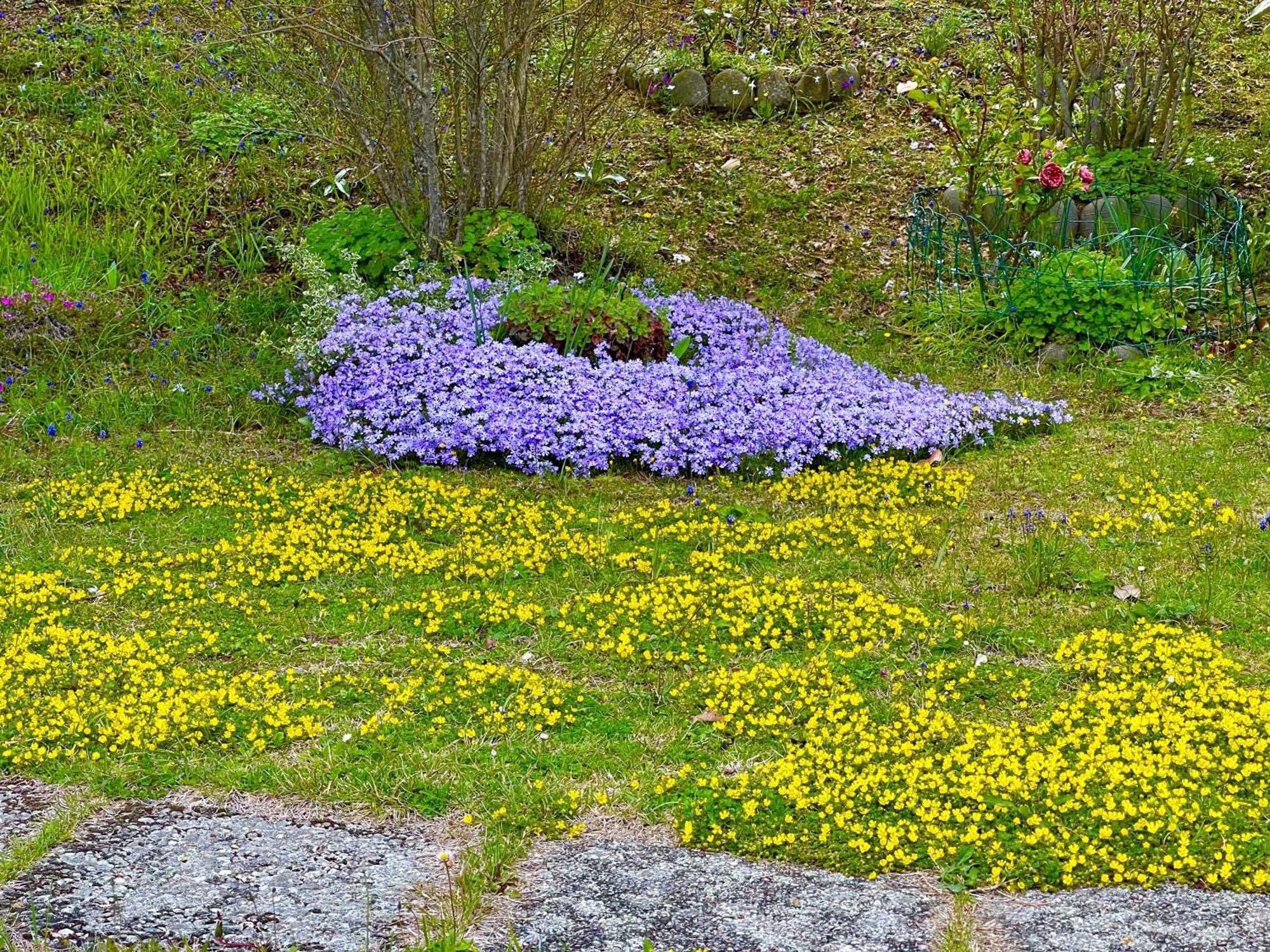 Mazzetti Country House-Vita In Campagna Con Giardino Vimignano-Chiesa Экстерьер фото