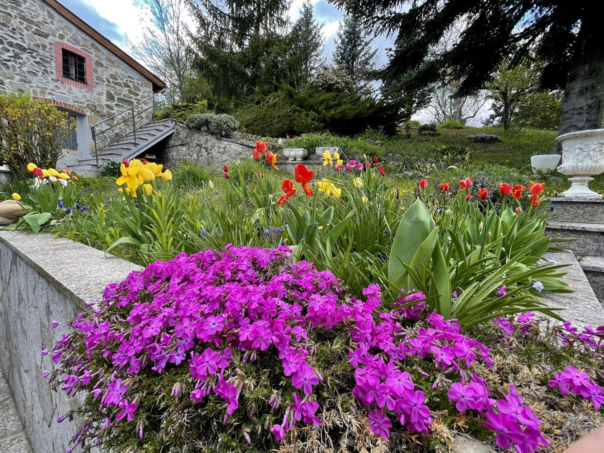 Mazzetti Country House-Vita In Campagna Con Giardino Vimignano-Chiesa Экстерьер фото