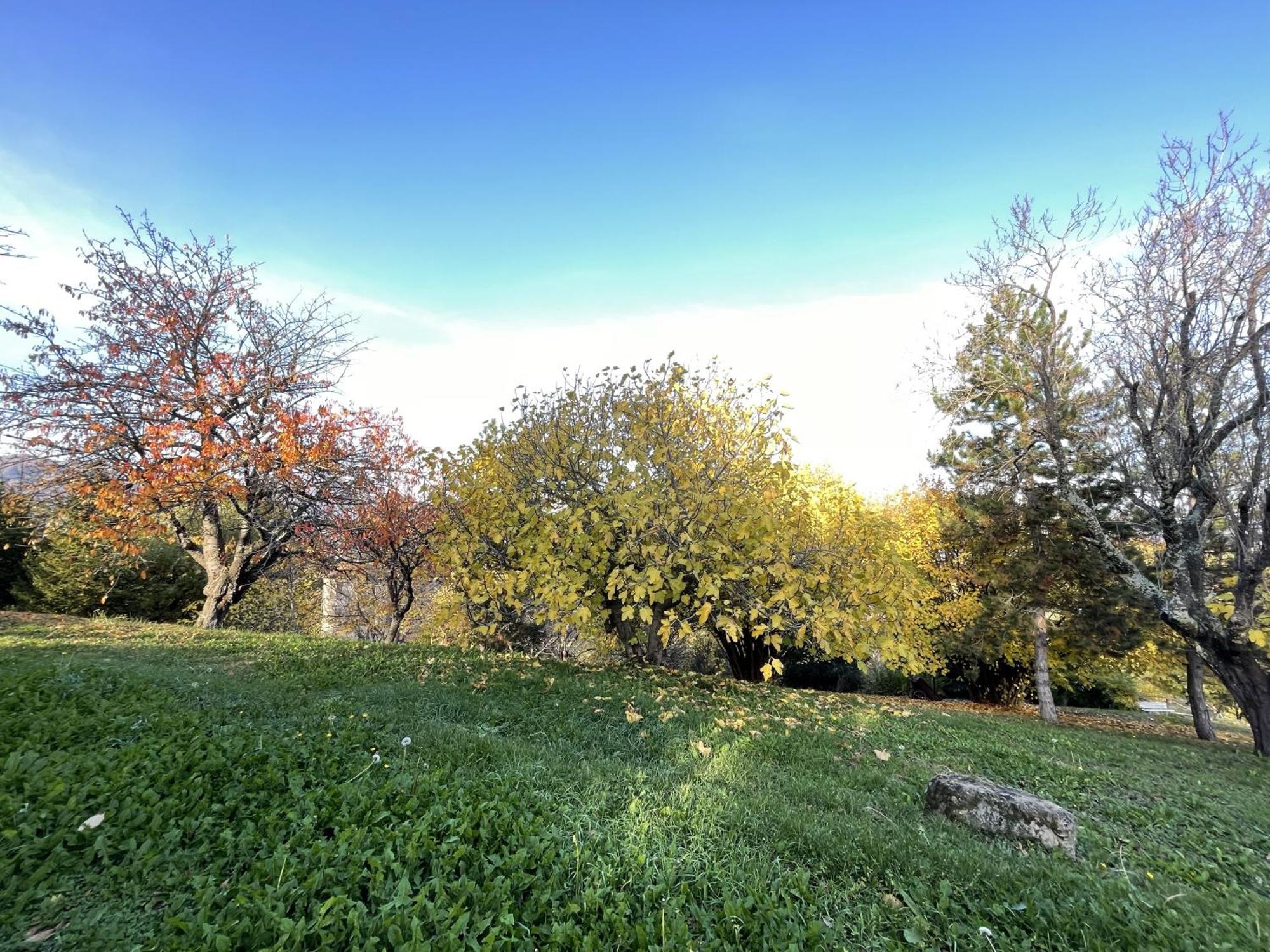 Mazzetti Country House-Vita In Campagna Con Giardino Vimignano-Chiesa Экстерьер фото