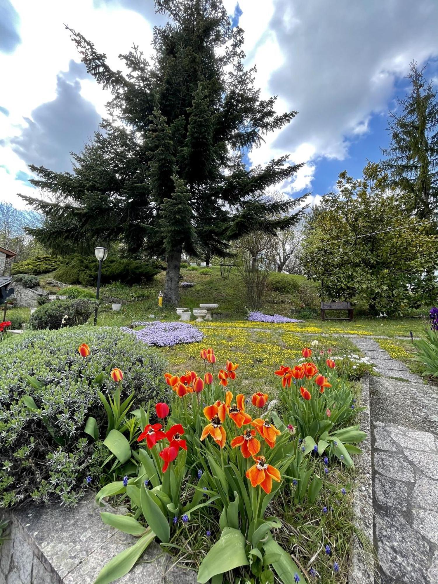 Mazzetti Country House-Vita In Campagna Con Giardino Vimignano-Chiesa Экстерьер фото
